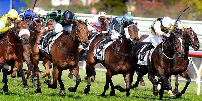 Cá cược đua ngựa mang đến nhiều kèo cược hấp dẫn