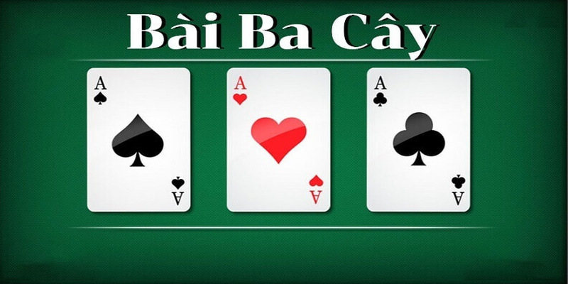 Khái niệm sơ bộ về bài 3 cây