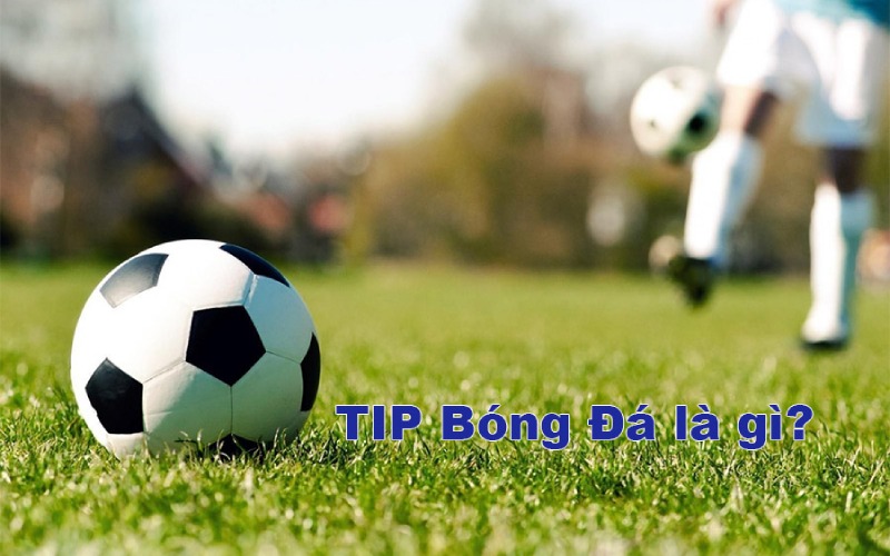 Tìm hiểu tổng quan về tip bóng đá 