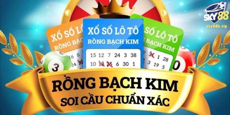 Giới thiệu trang website Rongbachkim