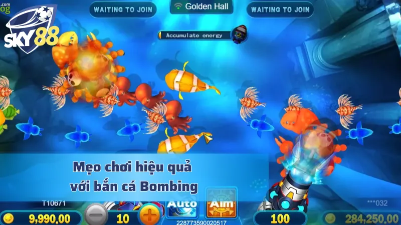 Mẹo chuyên sâu giúp nâng cao lợi nhuận với Bombing Fishing