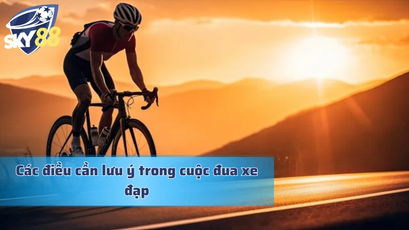 Những điều cần chú ý trong loại hình này