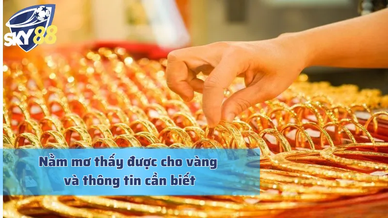 Nằm mơ thấy được cho vàng và những điều cơ bản cần biết
