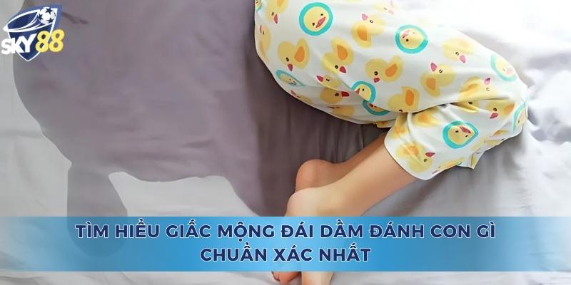 Đái Dầm Đánh Con Gì