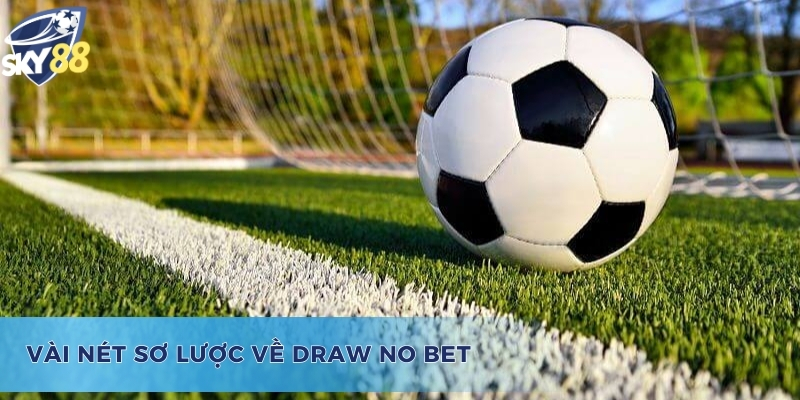 Khái quát thông tin Draw No Bet là gì