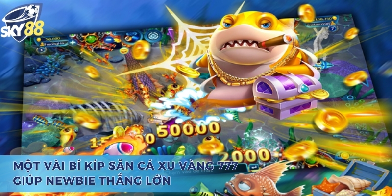 Một vài bí kíp bắn cá xu vàng 777 giúp newbie thắng lớn