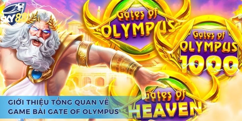 Tổng quan sơ lược về Gate Of Olympus